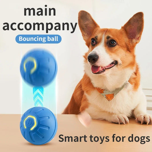 Smart Interactive Dog/Cat Toy Ball