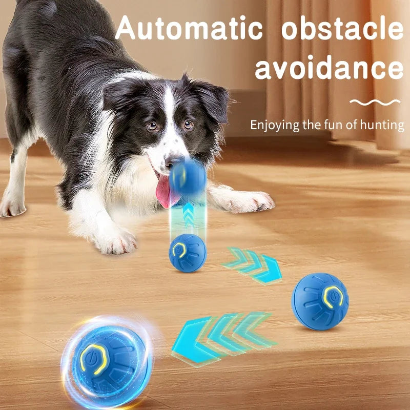 Smart Interactive Dog/Cat Toy Ball
