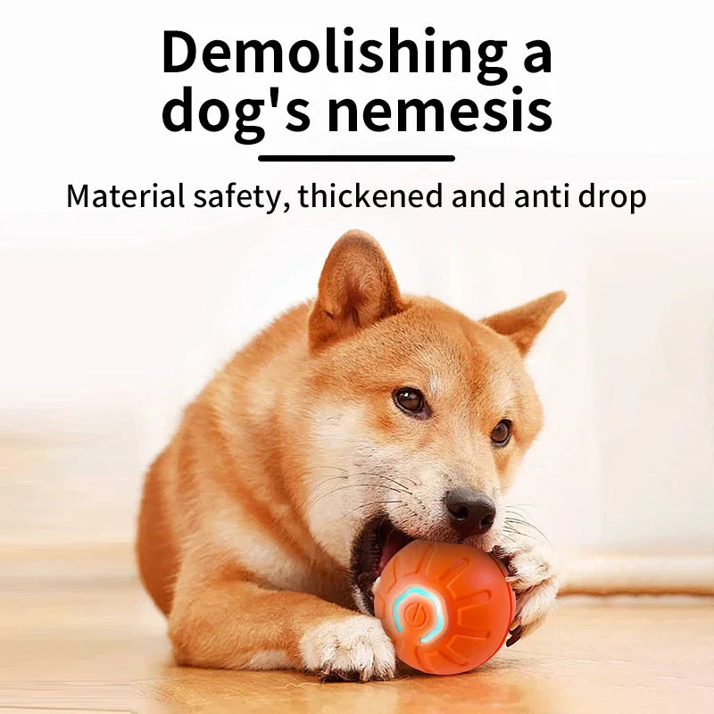 Smart Interactive Dog/Cat Toy Ball